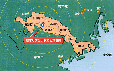 図表