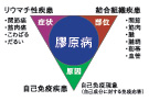 図「膠原病の3つの顔」