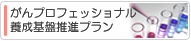 がんプロフェッショナル養成基盤推進プラン