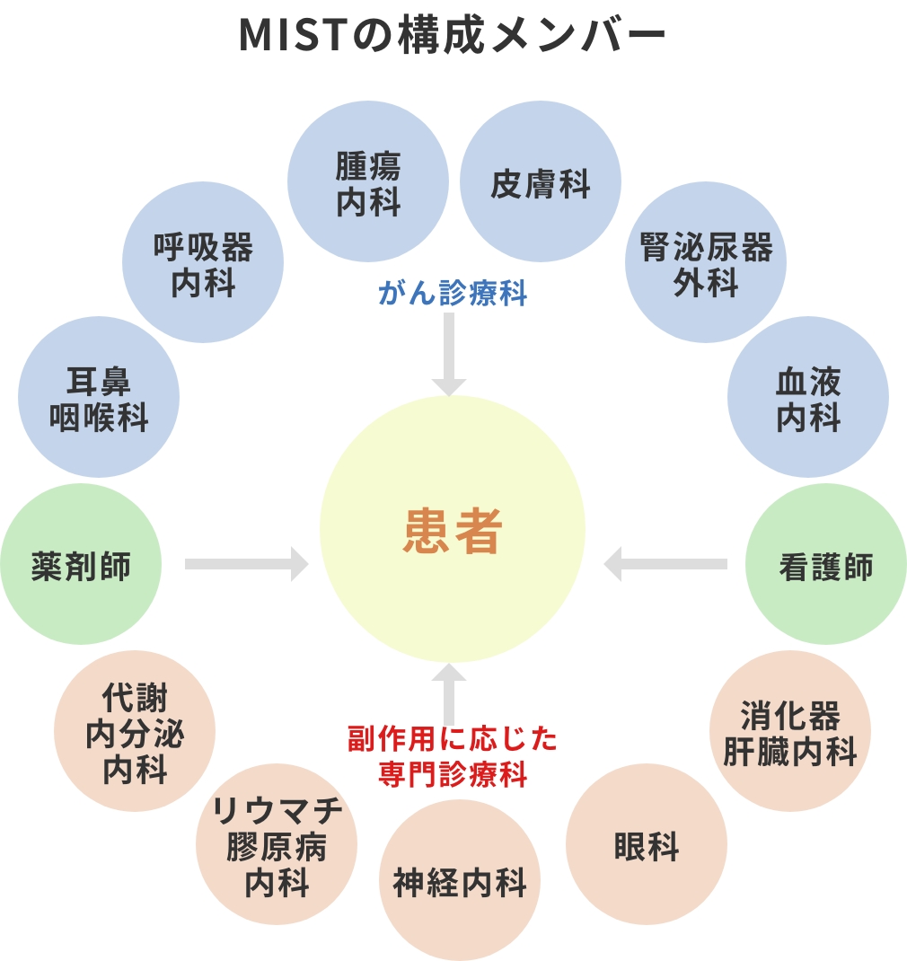 MISTの構成メンバー