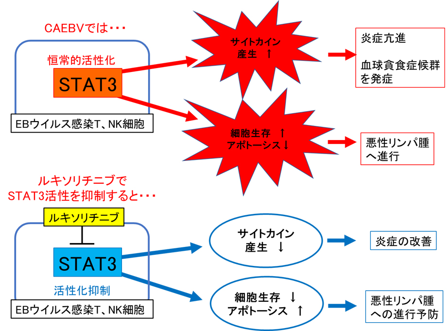 図1