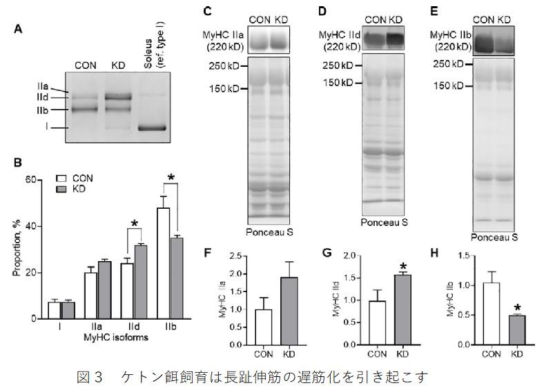 生理学