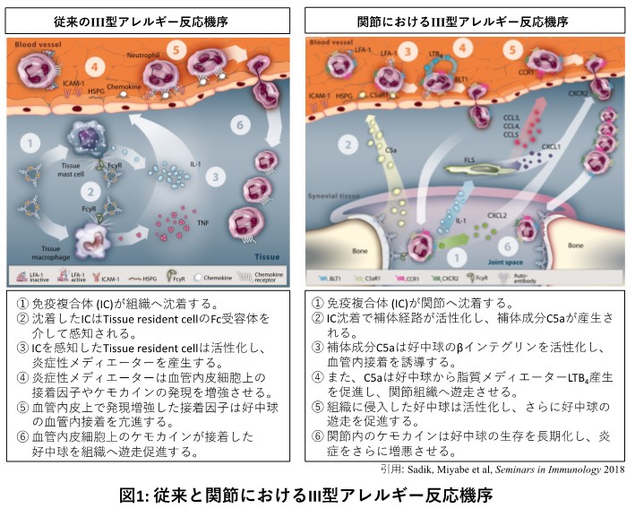 生命現象を可視化し、生命現象の謎に迫る