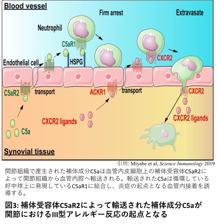 生命現象を可視化し、生命現象の謎に迫る