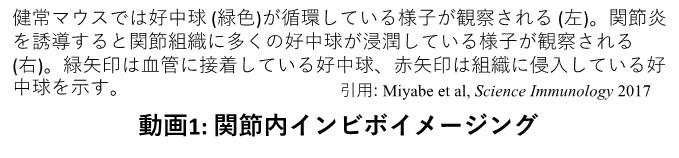 生命現象を可視化し、生命現象の謎に迫る