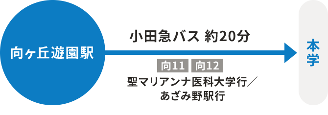 小田急バス 聖マリアンナ医科大学行/あざみ野駅行 約20分