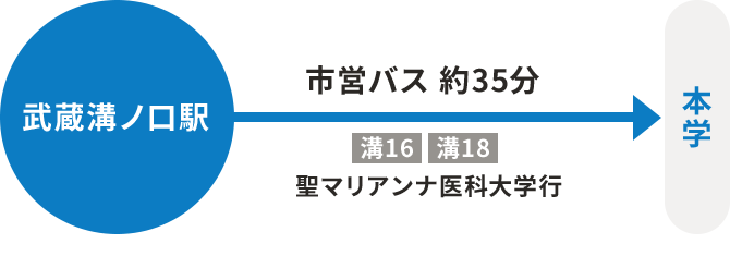 市営バス 聖マリアンナ医科大学行 約35分