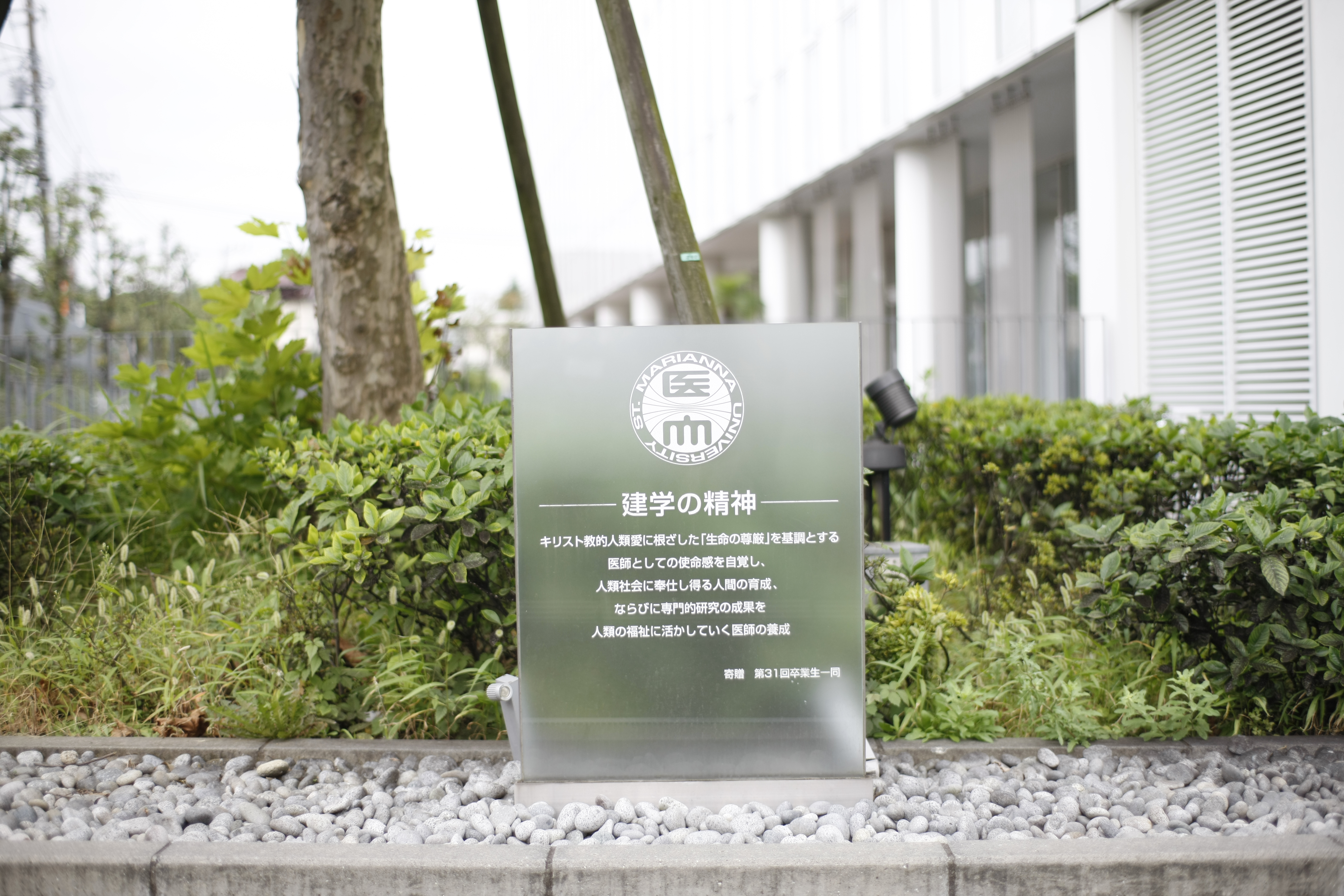 聖マリアンナ医科大学 本館外観
