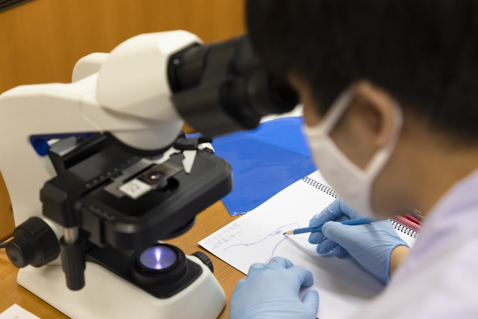 勉学に励む学生