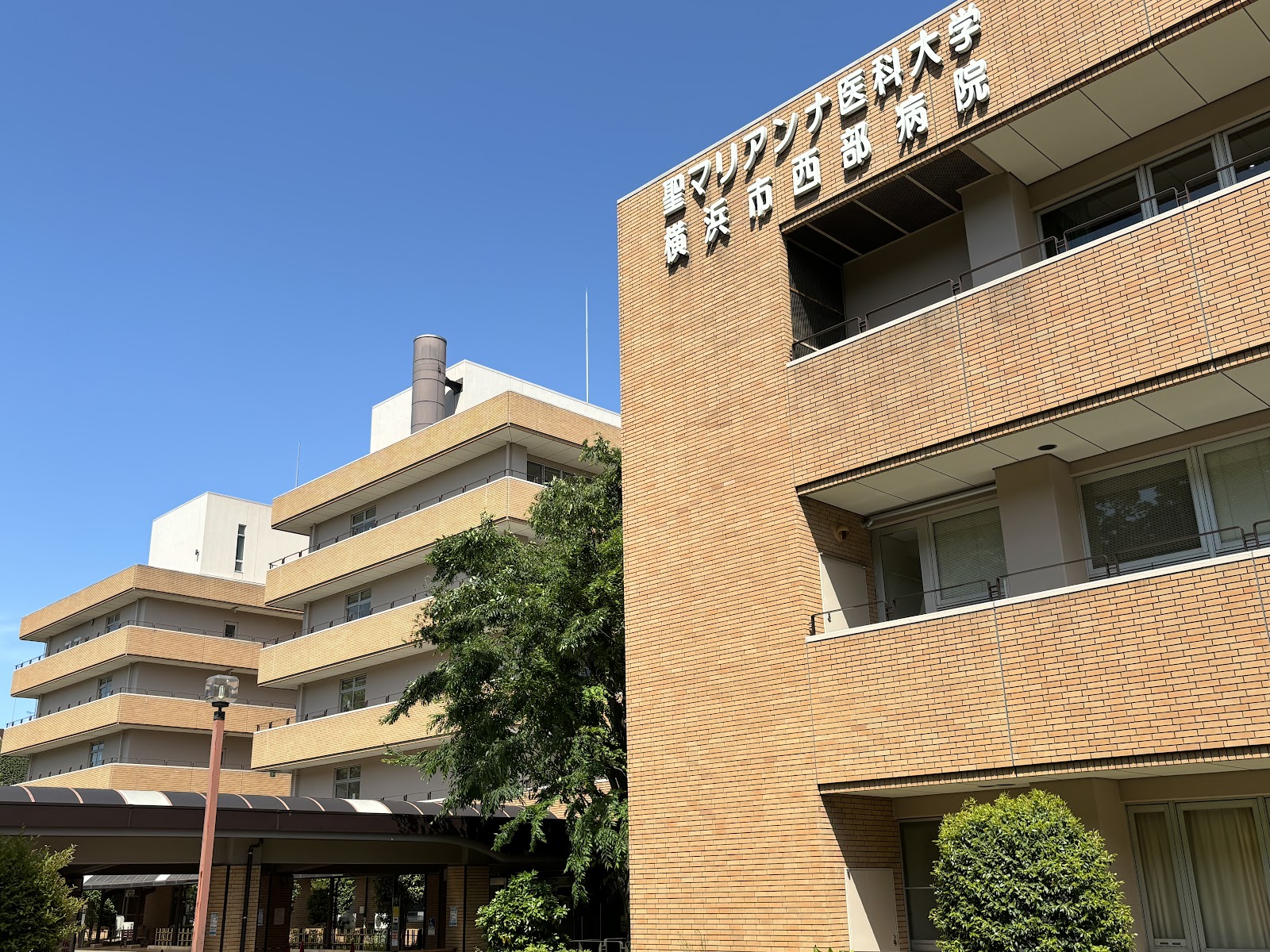 勉学に励む学生