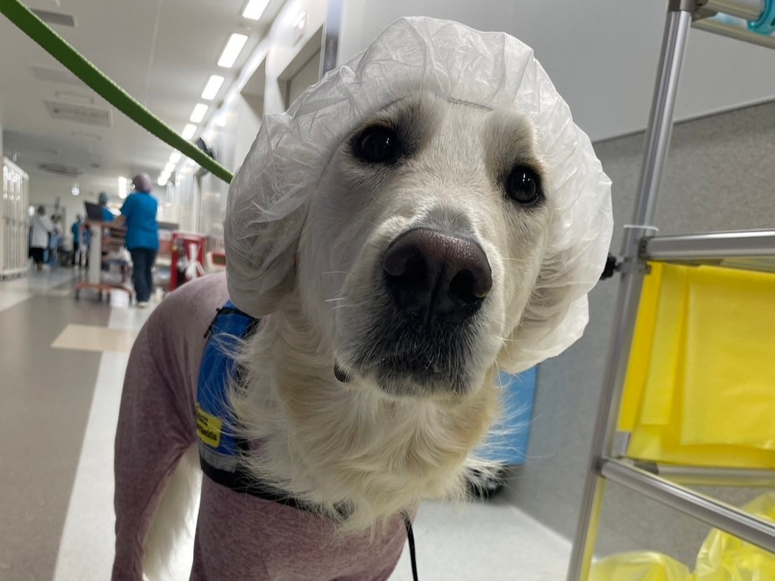 勉学に励む学生