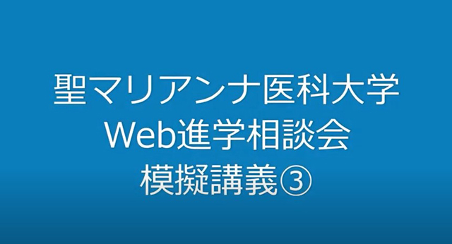 模擬講義③